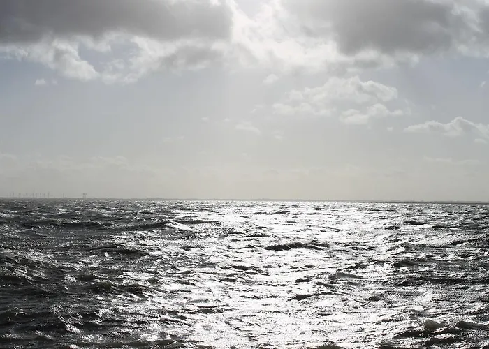 Deichschaf Dornumersiel